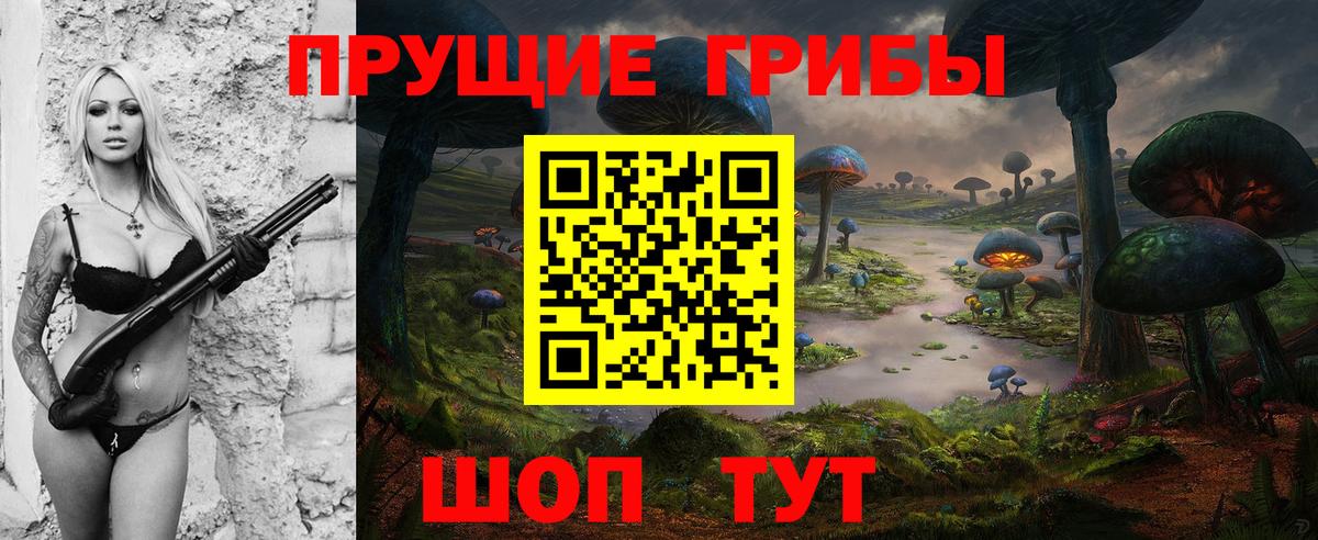 Галлюциногенные грибы Cubensis Реутов
