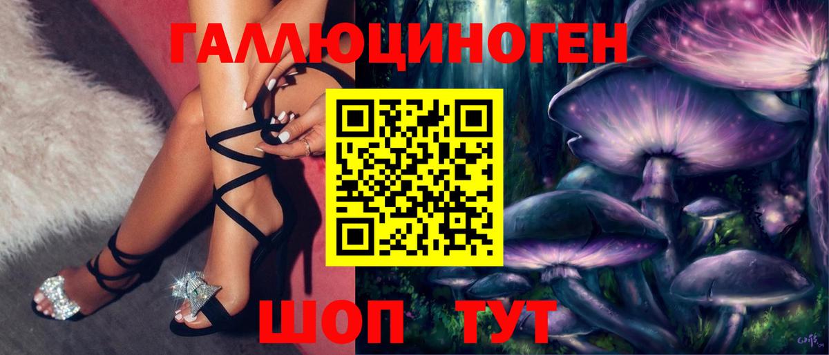 Реутов  Галлюциногенные грибы Psilocybe  Вход с VPN 